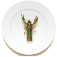 раки маленькие в Сочи