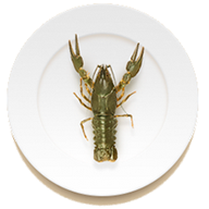 раки средние