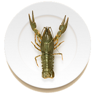 раки среднекрупные в Сочи