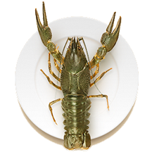 раки гигантские в Сочи